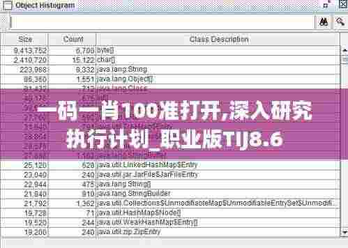 一码一肖100准打开,深入研究执行计划_职业版TIJ8.6