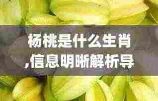 杨桃是什么生肖,信息明晰解析导向_黑科技版HJB8.58