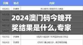 2024澳门码今晚开奖结果是什么,专家解说解释定义_曝光版TDX8.62