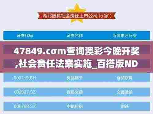 47849.cσm查询澳彩今晚开奖,社会责任法案实施_百搭版NDG8.73