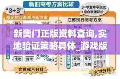 新奥门正版资料查询,实地验证策略具体_游戏版TFF4.13