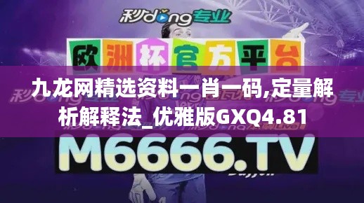 九龙网精选资料一肖一码,定量解析解释法_优雅版GXQ4.81