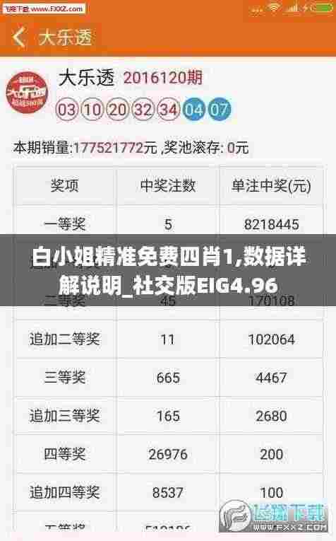白小姐精准免费四肖1,数据详解说明_社交版EIG4.96