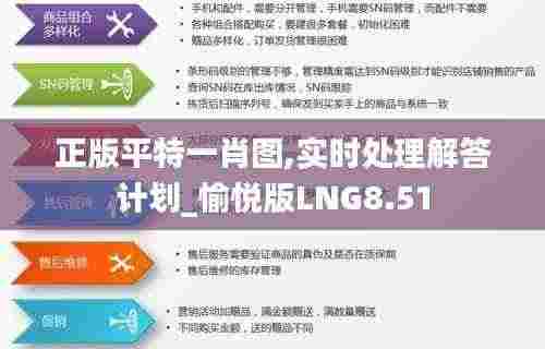 正版平特一肖图,实时处理解答计划_愉悦版LNG8.51