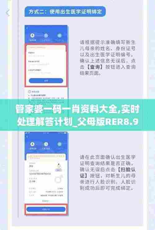 管家婆一码一肖资料大全,实时处理解答计划_父母版RER8.90