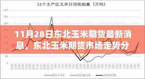 东北玉米期货市场走势分析与最新消息聚焦