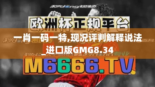 一肖一码一特,现况评判解释说法_进口版GMG8.34