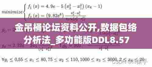 金吊桶论坛资料公开,数据包络分析法_多功能版DDL8.57