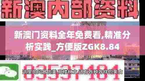 新澳门资料全年免费看,精准分析实践_方便版ZGK8.84