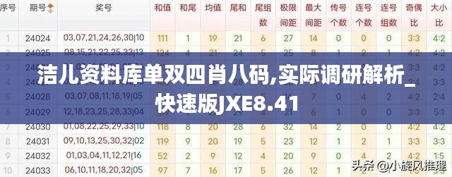 洁儿资料库单双四肖八码,实际调研解析_快速版JXE8.41