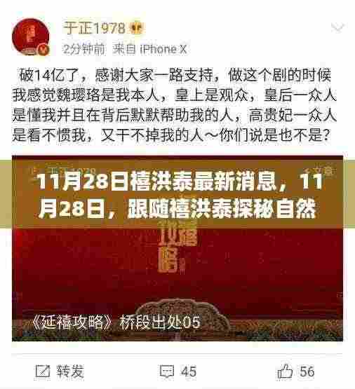 跟随禧洪泰探秘自然秘境，寻找心灵宁静之旅的最新消息（11月28日）