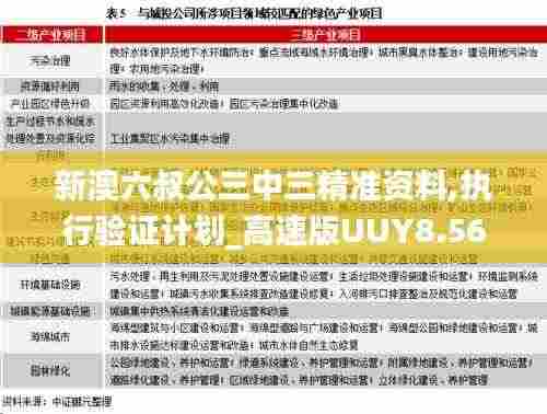 新澳六叔公三中三精准资料,执行验证计划_高速版UUY8.56