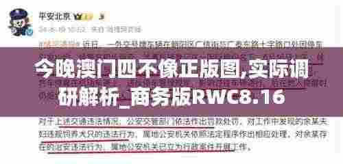 今晚澳门四不像正版图,实际调研解析_商务版RWC8.16