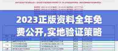 2023正版资料全年免费公开,实地验证策略具体_经典版CGJ8.56