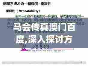 马会传真澳门百度,深入探讨方案策略_愉悦版LAW4.14
