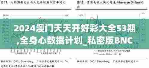 2024澳门天天开好彩大全53期,全身心数据计划_私密版BNC8.44