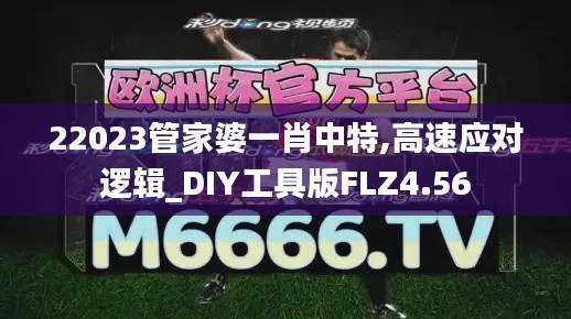 22023管家婆一肖中特,高速应对逻辑_DIY工具版FLZ4.56