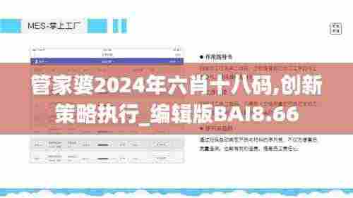 管家婆2024年六肖十八码,创新策略执行_编辑版BAI8.66