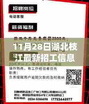 湖北枝江最新招工热潮，11月28日招工信息汇总与枝江新篇章开启
