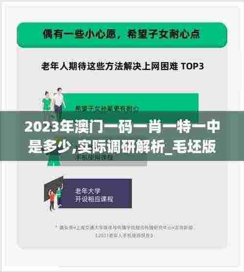 2023年澳门一码一肖一特一中是多少,实际调研解析_毛坯版DKL4.52