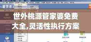 世外桃源管家婆免费大全,灵活性执行方案_散热版OSI8.15