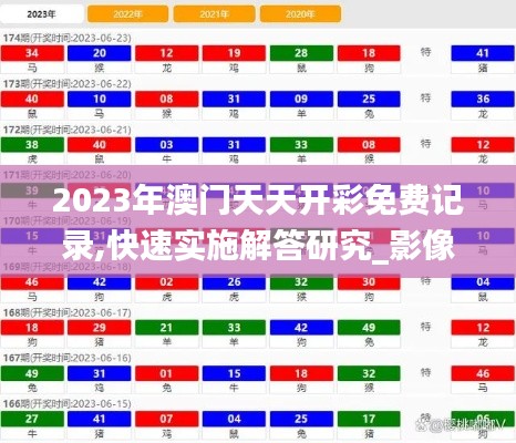 2023年澳门天天开彩免费记录,快速实施解答研究_影像处理版WNF8.94