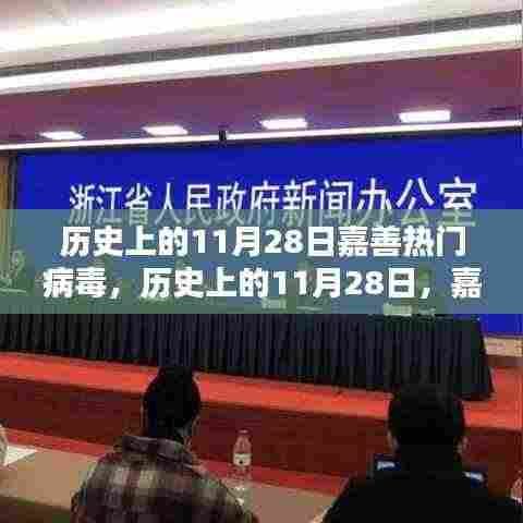 历史上的11月28日嘉善热门病毒全面评测与回顾
