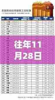 往年11月28日退休工资上调最新消息，全面解读与案例分析揭秘调整细节！