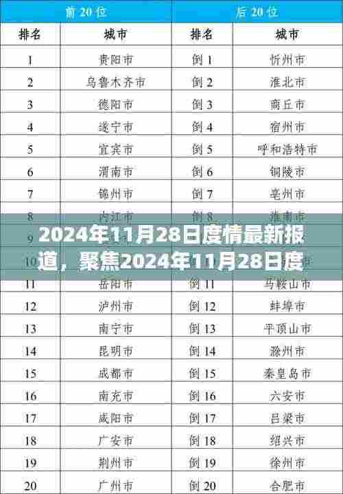 独家解析，2024年11月28日度情最新报道的综合观点与个人立场