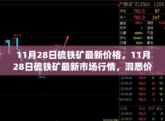 11月28日硫铁矿价格与市场动态,洞悉先机,掌握市场趋势
