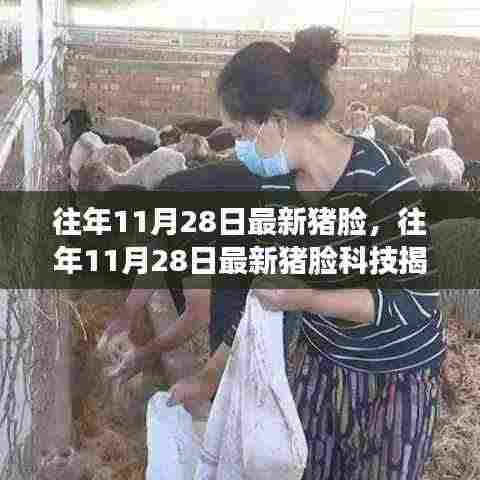 往年11月28日最新猪脸科技揭秘，智能识别引领养殖业革新