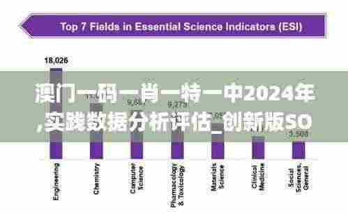 澳门一码一肖一特一中2024年,实践数据分析评估_创新版SOX98.833