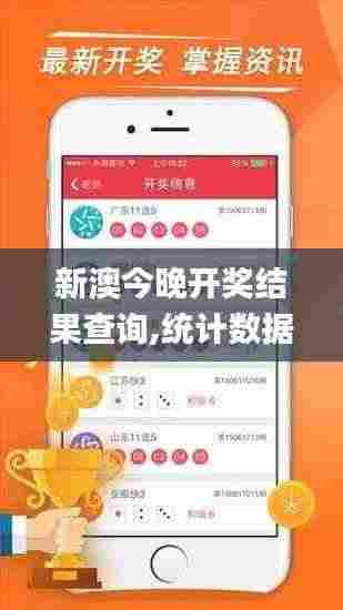 新澳今晚开奖结果查询,统计数据详解说明_时空版QTD50.253