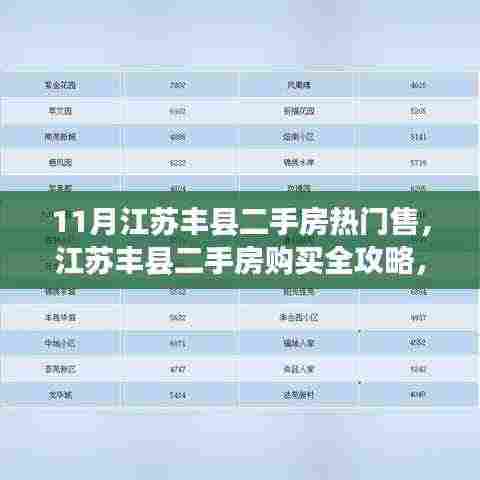 江苏丰县二手房购买指南，热门房源选购攻略与全攻略详解