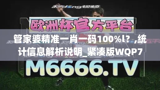 管家婆精准一肖一码100%l？,统计信息解析说明_紧凑版WQP7.315
