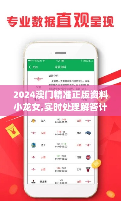 2024澳门精准正版资料小龙女,实时处理解答计划_抓拍版EKZ56.164