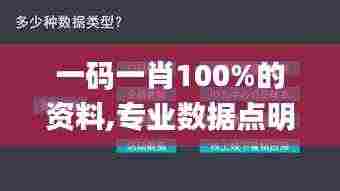 一码一肖100%的资料,专业数据点明方法_酷炫版TXE21.752