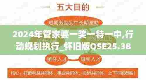 2024年管家婆一奖一特一中,行动规划执行_怀旧版QSE25.385