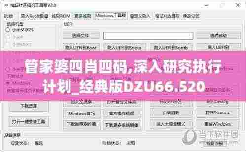 管家婆四肖四码,深入研究执行计划_经典版DZU66.520