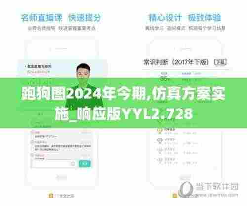跑狗图2024年今期,仿真方案实施_响应版YYL2.728