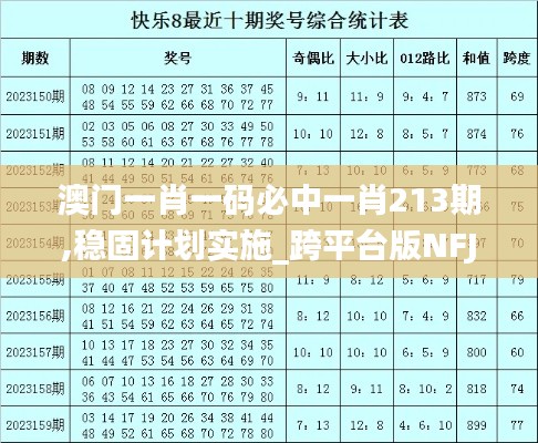 澳门一肖一码必中一肖213期,稳固计划实施_跨平台版NFJ40.889