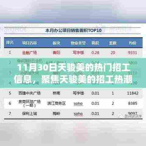 11月30日天骏美的招工热潮，深度解读背后的多重视角