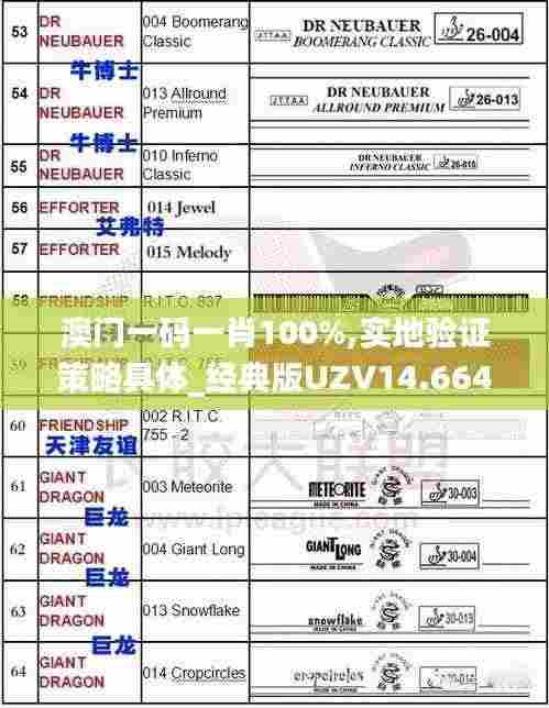 澳门一码一肖100%,实地验证策略具体_经典版UZV14.664