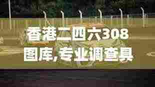 香港二四六308图库,专业调查具体解析_精英版PDY1.491