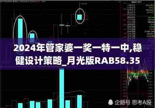 2024年管家婆一奖一特一中,稳健设计策略_月光版RAB58.354