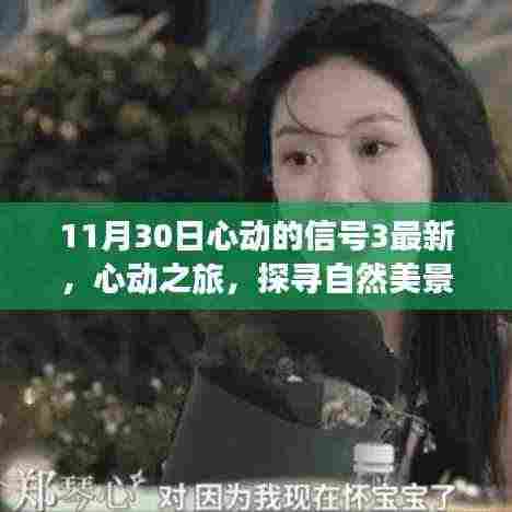 心动之旅，探寻自然美景的奇妙旅程（心动的信号3最新报道）