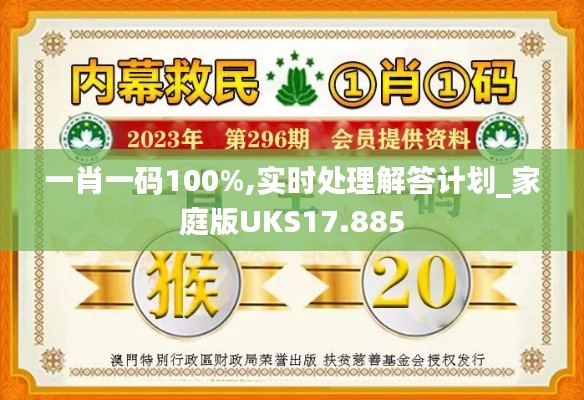 一肖一码100%,实时处理解答计划_家庭版UKS17.885