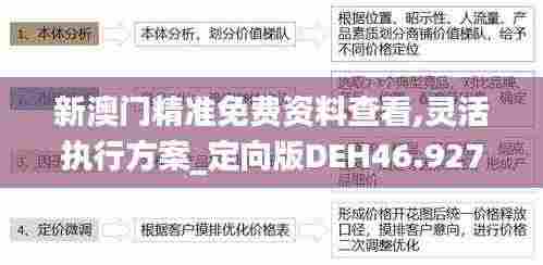 新澳门精准免费资料查看,灵活执行方案_定向版DEH46.927