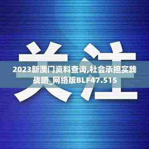 2023新澳门资料查询,社会承担实践战略_网络版BLF47.515