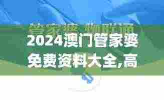 2024澳门管家婆免费资料大全,高效执行方案_锐意版YWH73.906